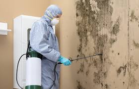 Professional Mold Remediation in Okmulgee, OK